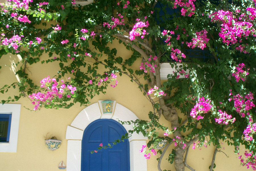 Cefalonia tra storia e natura - Crociere a vela
